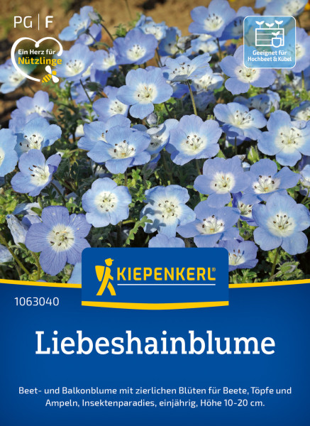 Kiepenkerl Liebeshainblume