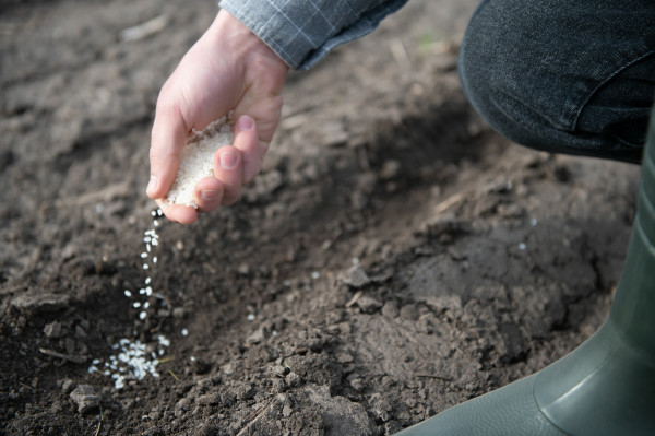 2400-farmer-s-hand-planting-seed-in-soil-1