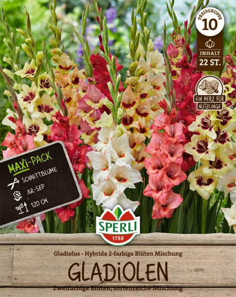 Produktbild von Sperli Gladiole zweifarbige Blueten Mischung mit Blumen in verschiedenen Farben und Verpackungsinformationen wie Maxi-Pack und Blütezeit.