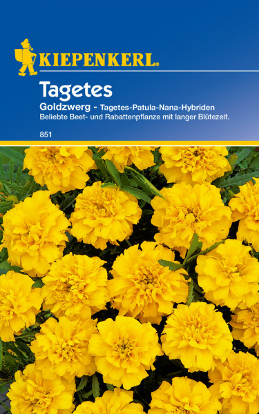 Produktbild von Kiepenkerl Studentenblume Goldzwerg mit gelben Blumen und Verpackungsinformationen.