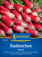 Kiepenkerl Radieschen Bamba