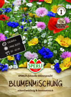 SPERLI's Schnelle Blütenpracht