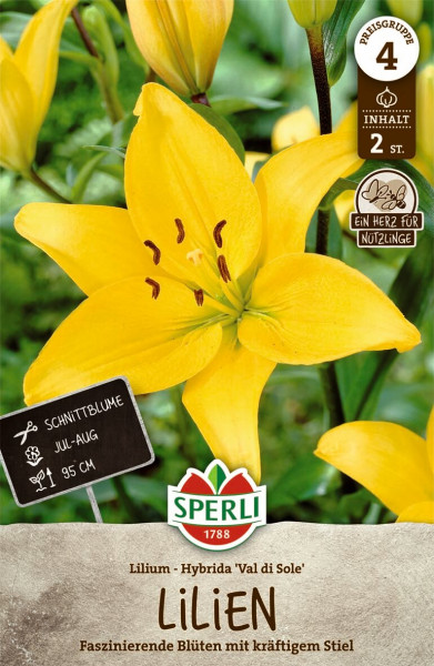 Produktbild von Sperli Lilie Val di Sole mit Darstellung der gelben Blüten Informationen zur Pflanze und Markenlogo.