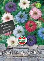 Sperli Jungfer im Grünen SPERLI's Gaudi Mischung
