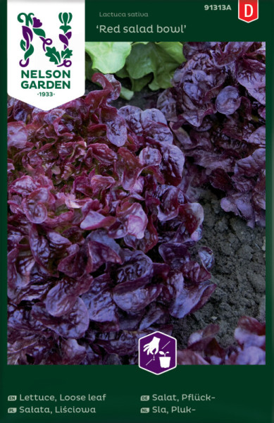 Produktbild Nelson Garden Pflücksalat Red Salad Bowl mit roten Salatblättern und Verpackungsdetails auf Erdboden.