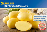 Kiepenkerl Pflanzkartoffel Agria 10St