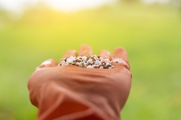 2400-macro-shot-of-hand-holding-mixed-chemical-fertilizer-minerals-used-in-agriculture-farms-fields