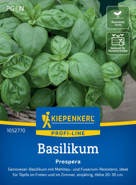 Kiepenkerl Basilikum Prospera F1