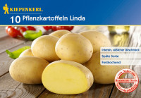 Kiepenkerl Pflanzkartoffel Linda Basis