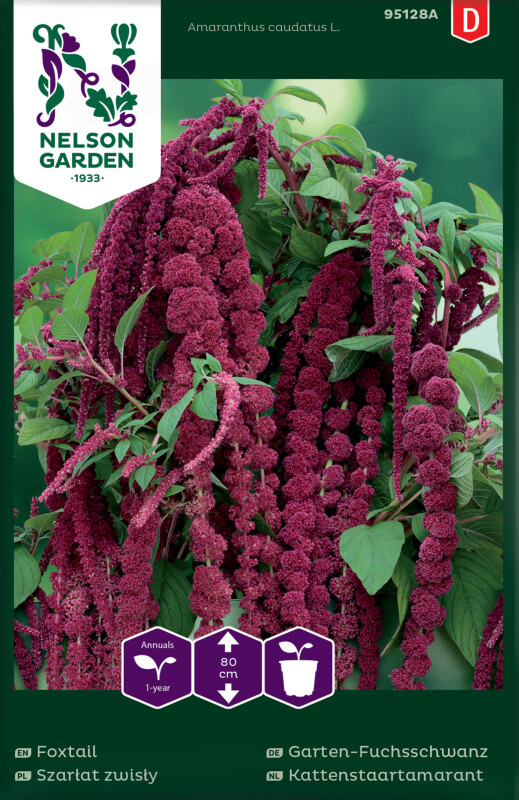 GartenFuchsschwanz Exotische Blütenpracht für Ihren Garten