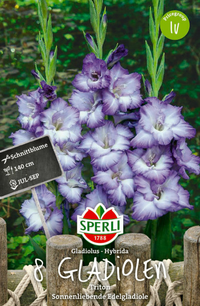 Produktbild von Sperli Gladiole Triton mit Darstellung violett blühender Gladiolen auf einem Packungsdesign mit Markenlogo Informationen zur Blütezeit und Pflanzengröße in deutscher Sprache.