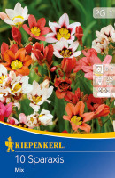 Kiepenkerl Fransenschwertel-Mischung