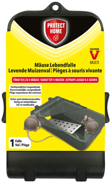 Produktbild der Protect Home Lebendfalle Maus Multi mit der Darstellung der Falle und zwei Mäusen, Informationen zu tierfreundlicher Fangmethode und Sicherheit auf gelb-schwarzem Hintergrund.