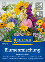 Kiepenkerl Blumenmischung Sommerabend
