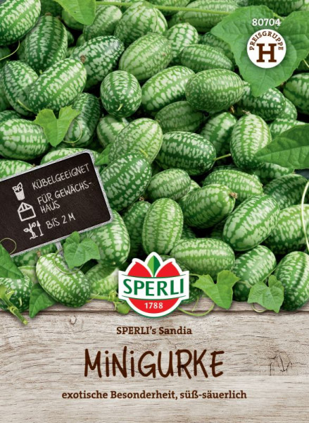 Produktbild von Sperli Minigurke SPERLIs Sandia mit vielen grünen Mini-Wassermelonen ähnelnden Gurken und einem Schild, das die Eignung für Gewächshäuser und die Pflanzhöhe angibt, Markenlogo und Produktinformationen in deutscher Sprache.