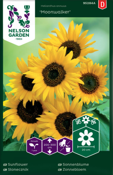 Produktbild von Nelson Garden Sonnenblume Moonwalker mit mehreren gelben Sonnenblumen und Angaben zu Wachstumshöhe und Jahreszeiten auf der Verpackung in verschiedenen Sprachen.
