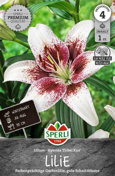 Produktbild von Sperli Lilie Tribal Kiss mit Abbildung einer rot-weißen Gartenlilie und Informationen zu Winterhärte Blütezeit Höhe sowie Logo und Qualitätsversprechen der Marke Sperli.
