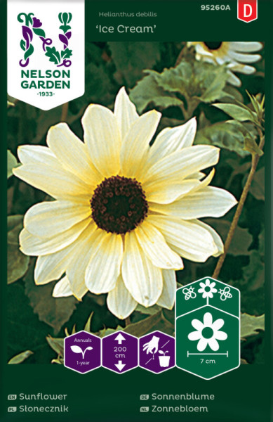 Produktbild von Nelson Garden Sonnenblume Ice Cream mit Abbildung einer cremeweißen Sonnenblume und Verpackungsinformationen in verschiedenen Sprachen samt Symbolen für Einjährigkeit, Wuchshöhe und Blütengröße.