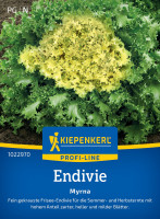 Kiepenkerl Endivie Myrna