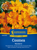 Kiepenkerl Cosmos Mandarin