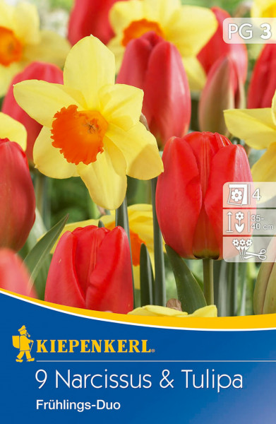 Kiepenkerl Tulpen-Narzissen-Mischung Frühlingsduo