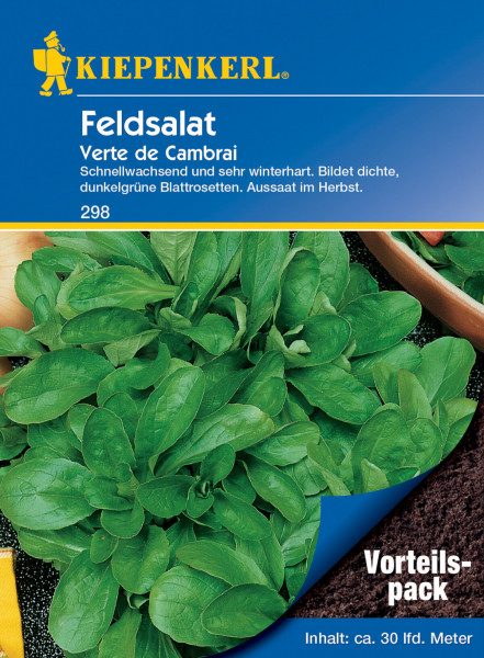 Produktbild von Kiepenkerl Feldsalat Verte de Cambrai Vorteilspack mit Darstellung der grünen Blattrossetten und Informationen zu Wachstum und Aussaat auf Deutsch.