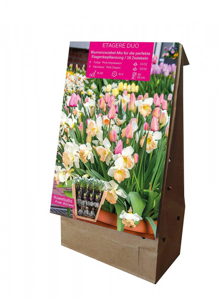 Produktbild der Sperli Young Generation Etagere Duo mit einer Darstellung der Blumenzwiebeln und Informationen zu Pflanzengröße sowie Blütezeit auf der Verpackung.