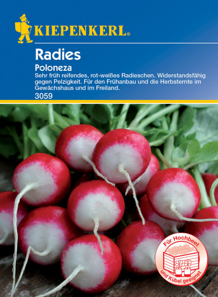 Produktbild der Kiepenkerl Radieschen Poloneza Saatgutverpackung mit Abbildung rot-weißer Radieschen und Produktinformationen in deutscher Sprache.
