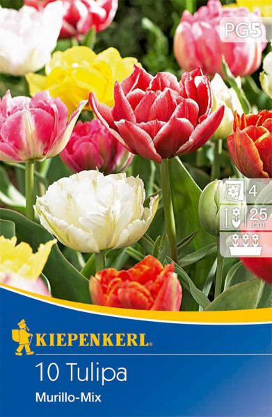 Produktbild der Kiepenkerl Gefüllte Frühe Tulpe Murillo Mix Verpackung mit farbenfrohen Tulpen und Produktinformationen