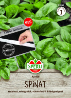SPERLI Spinat Apollo, F1, Saatband