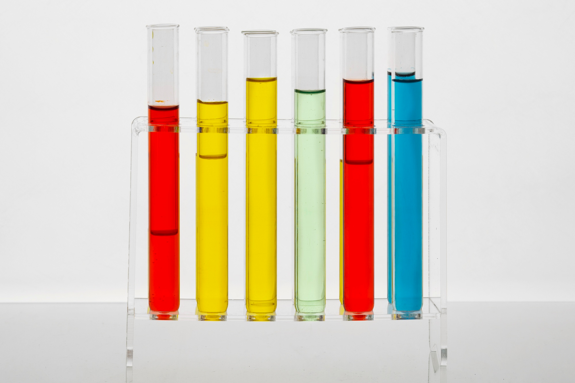 biologisches saatgut BIO-Saatgut 'Forono Rote Beete'  LIEBS.CO
