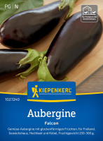 Kiepenkerl Aubergine Falcon F1