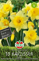 Sperli Großkronige Narzisse Carlton