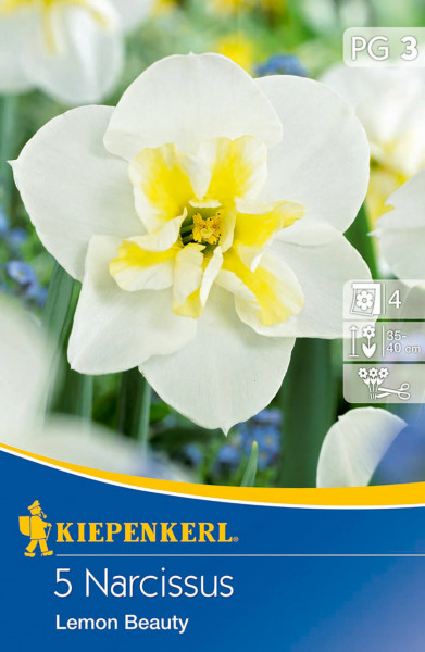 Produktbild von Kiepenkerl Narzisse Lemon Beauty mit einer Nahaufnahme der weißen Blüte mit gelbem Kern sowie Verpackungsinformationen und Pflanzanleitung.