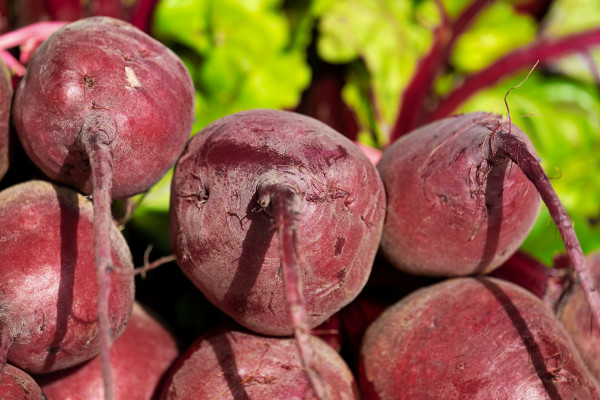 beetroot-3463259_1920