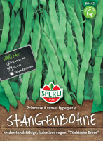 Sperli Stangenbohne Princesse à rames type perle