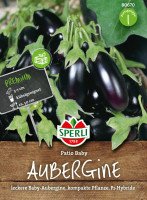 Sperli Aubergine Patio Baby, F1