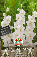 Sperli Gladiole Paloma Blanca