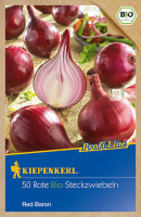 Kiepenkerl Steckzwiebel BIO Red Baron