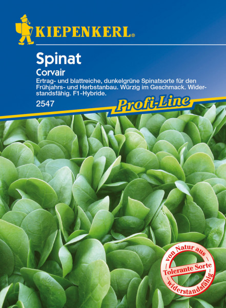 Produktbild von Kiepenkerl Spinat Corvair F1 mit Informationen zur dunkelgrünen Spinatsorte für Frühjahrs- und Herbstanbau auf der Verpackung in deutscher Sprache.