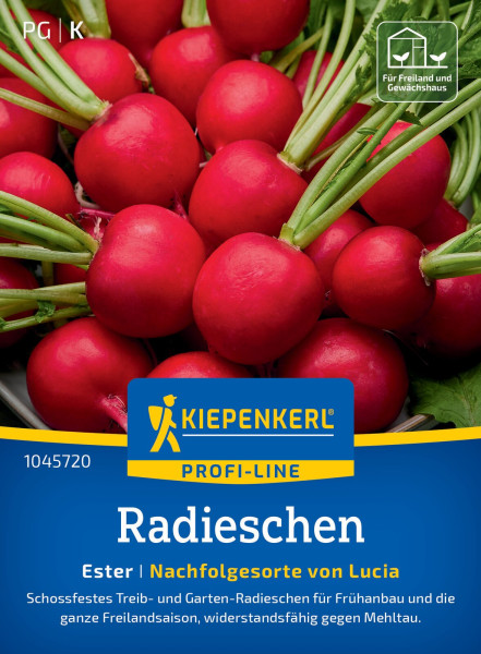 Kiepenkerl Radieschen Ester