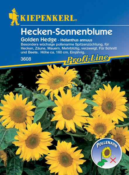 Kiepenkerl Sonnenblume Golden Hedge
