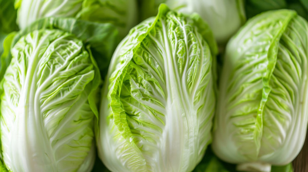 2400-fresh-green-chinese-cabbage-napa-cabbage-close-up-ideal-for-healthy-eating-vegetarian-recipes-and-asian-cuisine-related-concepts