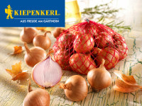 Kiepenkerl Schalotten Red Sun Gr. 7/14 500G