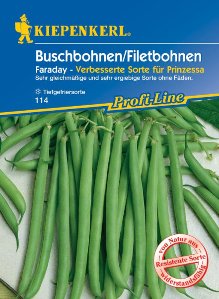 Produktbild von Kiepenkerl Buschbohnen Faraday Samenpackung mit Abbildungen grüner Bohnen und Produktinformationen in deutscher Sprache.
