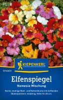 Kiepenkerl Elfenspiegel Nemesia Mischung