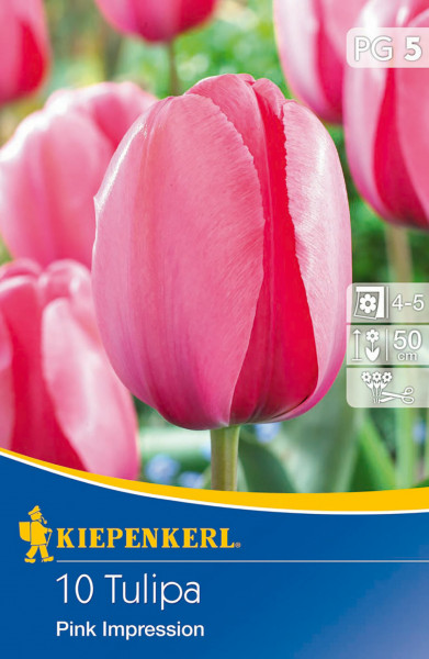 Produktbild von Kiepenkerl Darwin-Hybrid-Tulpe Pink Impression mit Abbildung rosafarbener Tulpen und Verpackungsinformationen.