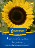 Kiepenkerl Sonnenblume Sunrich Lemon F1