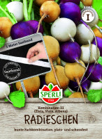 SPERLI Radieschen Kombination III - Zlata, Viola, Albena - Saatband