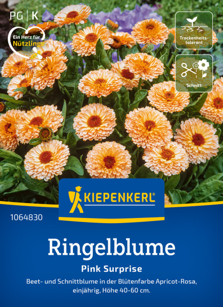 Kiepenkerl Ringelblume Pink Surprise